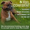 BRONZEDOG Dog Muzzle Wire Basket Metal Mask for Medium Large Dogs (Size 4: Pitbull & Amstaff) - Image 3