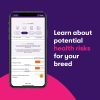 Orivet Genopet Dog DNA Test | Dog Breed Test Kit, Genetic Testing, Heritable Health Risks and Life Plan - Image 5