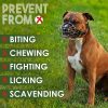 BRONZEDOG Dog Muzzle Wire Basket Metal Mask for Medium Large Dogs (Size 4: Pitbull & Amstaff) - Image 4