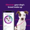 Orivet Genopet Dog DNA Test | Dog Breed Test Kit, Genetic Testing, Heritable Health Risks and Life Plan - Image 6