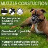 BRONZEDOG Dog Muzzle Wire Basket Metal Mask for Medium Large Dogs (Size 4: Pitbull & Amstaff) - Image 5