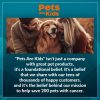 Pets Are Kids Too Oatmeal Dog Shampoo Baking Soda Hypoallergenic Anti Itch Moisturizing Soothing Deodorizing Pet Care Safe Puppy Shampoo Sensitive Skin Cat Shampoo - Coconut Based Cleanser 17 fl oz - Image 2