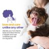 Gerrard Larriett: Aromatherapy Freshening & Shining Spray For Pets - Chamomile & Lavender Dog Spray Scent - Premium Pet and Puppy Calming Products - Dog Calming Spray Anxiety Comfort - 8 FL OZ - Image 4