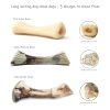 PETSLA Durable Nylon Dog Chew Toys for Aggressive Chewers Large Medium Small Breeds, Indestructible Tough Dog Toy for Dog Teething Puppies (Antler Shape, 7.16 inches) - Image 8