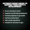 Bully Max 2-in-1 Puppy Soft Chews for Immunity & Growth - Puppy Dog Food Supplements and Vitamins for Health & Immune Support - Essential Dog Multivitamin for All Breeds, Small & Large Breed Puppies - Image 4