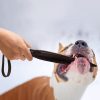 Dog Breaker Stick - No-Bite Training Bar Tool, Chew Toy | Used for Deterrent, Pet Fight Aggression Stopper & Self-Defense - Protection Supplies for Small to Large Pitbull, K9 Canine (Blue, 2PCS) - Image 7