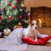 Dono 1 Pack 3 Dog Blanket Soft Fluffy Fleece Blanket for Small, Medium and Large Dogs - Paw Print Pink Pet Blanket Mat - Image 2