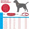 SOYATER Black Dog Collar for Medium Large Dogs Pitbull Collar with Leash Rivet Puppy Pet Cat Adjustable Black Studded Collar Durable PU Leather Spiked Pet Supplies (Black, XXL=19.7""-22.4"") - Image 8