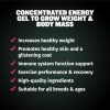 Bully Max Weight Gainer Liquid for Puppies & Adult Dogs | 2-in-1 High Calorie Multivitamin Dog Supplements & Vitamins for Weight Gain with Omega 3 & Whey Protein for All Breeds & Ages - 16 oz Bag - Image 5