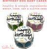 Bubba Rose Biscuit Company: Pink Dog Birthday Baby Cake - Crunchy Biscuit Texture - Natural Gourmet Dog Treat - Dog Cake - 3 inch 1 Count - Made in The USA - Image 4