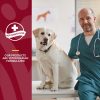 NaturVet ? Cranberry Relief Plus Echinacea ? Helps Support a Healthy Urinary Tract & Immune System ? 120 Soft Chews - Image 4