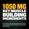 Bully Max Muscle Builder Soft Chews for Dogs and Puppies - Training Supplements Chews for Puppy and Adult Dog - Dog Food Treats for Muscle Gain - All Dog Breeds & Ages, 75 Delicious Soft Chews - Image 2