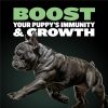 Bully Max Puppy Food 24/14 High Protein & Growth Formula - Dry Dog Food with Lamb and Rice for Small Dogs and Large Breed Puppies - Natural, Slow-Cooked, Sensitive Stomach Pet Food, 5-Pound Bag - Image 8