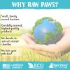 Raw Paws Virgin Organic Coconut Oil for Dogs & Cats, 4-oz - Treatment for Itchy Skin, Dry Nose, Paws - Hot Spot Lotion for Dogs - Natural Hairball Remedy for Dogs - Image 2