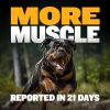 Bully Max Muscle Builder Soft Chews for Dogs and Puppies - Training Supplements Chews for Puppy and Adult Dog - Dog Food Treats for Muscle Gain - All Dog Breeds & Ages, 75 Delicious Soft Chews - Image 6