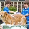 Lilpep Pet Shampoo Bath Brush Soothing Massage Rubber Comb with Adjustable Ring Handle for Long Short Haired Dogs and Cats Grooming, 2 PCS - Image 6