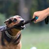 Dog Breaker Stick - No-Bite Training Bar Tool, Chew Toy | Used for Deterrent, Pet Fight Aggression Stopper & Self-Defense - Protection Supplies for Small to Large Pitbull, K9 Canine (Blue, 2PCS) - Image 5