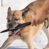Dog Breaker Stick - No-Bite Training Bar Tool, Chew Toy | Used for Deterrent, Pet Fight Aggression Stopper & Self-Defense - Protection Supplies for Small to Large Pitbull, K9 Canine (Blue, 2PCS) - Image 8