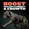 Bully Max 2-in-1 Puppy Soft Chews for Immunity & Growth - Puppy Dog Food Supplements and Vitamins for Health & Immune Support - Essential Dog Multivitamin for All Breeds, Small & Large Breed Puppies - Image 8
