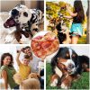 MOXIKIA Dog Chew Toys for Aggressive Chewers Indestructible Dog Toys,Bacon Flavored,Tough Dog Bone Toys for Medium/Large breed Dogs, Best Extreme Chew Toys to Keep Them Busy - Image 3