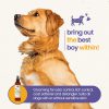 Gerrard Larriett: Aromatherapy Freshening & Shining Spray For Pets - Chamomile & Lavender Dog Spray Scent - Premium Pet and Puppy Calming Products - Dog Calming Spray Anxiety Comfort - 8 FL OZ - Image 3