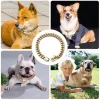 14mm Gold Dog Chains Collar for Dogs Stainless Steel Metal Luxury Necklace Pet Accessory - AliExpress 15 - Image 4