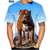 Pitbull Men's 3d T-shirt | T-shirts Dogs Pitbull | 3d Dogs T-shirt | 3d Man T-shirts - 2023 - Image 3