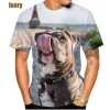 2022 New Listing 3D Pitbull Dog Printed Casual T-shirt Men/women's Cool Pitbull Graphic Hipster Short Sleeve Tops Tee - AliExpress 200000343 - Image 2