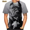 2022 New Listing 3D Pitbull Dog Printed Casual T-shirt Men/women's Cool Pitbull Graphic Hipster Short Sleeve Tops Tee - AliExpress 200000343
