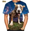 2022 New Listing 3D Pitbull Dog Printed Casual T-shirt Men/women's Cool Pitbull Graphic Hipster Short Sleeve Tops Tee - AliExpress 200000343 - Image 3