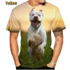 2022 New Listing 3D Pitbull Dog Printed Casual T-shirt Men/women's Cool Pitbull Graphic Hipster Short Sleeve Tops Tee - AliExpress 200000343 - Image 4