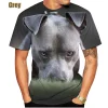 2022 New Listing 3D Pitbull Dog Printed Casual T-shirt Men/women's Cool Pitbull Graphic Hipster Short Sleeve Tops Tee - AliExpress 200000343 - Image 5