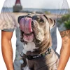 2022 New Listing 3D Pitbull Dog Printed Casual T-shirt Men/women's Cool Pitbull Graphic Hipster Short Sleeve Tops Tee - AliExpress 200000343 - Image 6