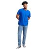 Russell Athletic Mens Cotton Performance Short Sleeve T-Shirt T Shirt, Royal, Large US - Image 5