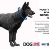 Herm Sprenger Black Stainless Steel Prong Dog Training Collar with Swivel Ultra-Plus Pet Pinch Collar No-Pull Collar for Dogs Anti Pull Training Collar Made in Germany 2.25mm x 16in - Image 6