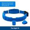 PetSafe Soft Point Training Collar - Helps Stop Pulling - Safer Than Prong or Choke Collars - Teaches Better Leash Manners - No Pull Training Collar with Rubber Points for Dogs - Medium, Blue - Image 4