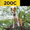 Dogtra 200C Waterproof ?-Mile One-Handed Operation Remote Training Dog E-Collar - Image 3