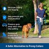 PetSafe Soft Point Training Collar - Helps Stop Pulling - Safer Than Prong or Choke Collars - Teaches Better Leash Manners - No Pull Training Collar with Rubber Points for Dogs - Medium, Blue - Image 6