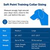 PetSafe Soft Point Training Collar - Helps Stop Pulling - Safer Than Prong or Choke Collars - Teaches Better Leash Manners - No Pull Training Collar with Rubber Points for Dogs - Medium, Blue - Image 2
