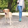 KRUZ PET KZV1020H-08L Short Traffic Leash ? Training Dog Leash - Reflective Heavy Duty Click & Lock Hook, Strong, Secure Nylon Safety Lead with Locking Carabiner Clip and Foam Handle, Orange, 1" x 20" - Image 6
