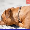 Herm Sprenger Stainless Steel Fur Saver Dog Chain Collar Medium Link Professional Training Collar with Quick Release Snap Hook for Medium Large Dogs Made in Germany (28in (70cm)) - Image 2