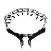 AiliStar New Prong Dog Collar Metal Prong Dog Training Dog Collar with Metal Quick Release Pet Collar for Dogs Small Size - Image 7