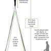 PetSafe Two Point Control Leash, Padded and Reflective Nylon Leash Converts to Single Leash, Works with 3in1 Harnesses, 3/4 in. Wide Leash - Image 2