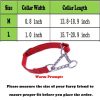 Love Dream Martingale Collars for Dogs, Leather Training Dog Collar, Stainless Steel Chain Anti-Escape No Pull Dog Collar for Medium Large Dogs (L(15.7"-20.9"), Red) - Image 5