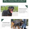 Pets vv 3 Pack Dog Collar Chain, Stainless Steel Training Collar for Dogs - Image 3
