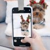 WOOFIE - The Pet Selfie & Portrait Tool (Slay Gray) - Image 6