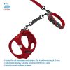 Best Pet Supplies Voyager Dog Collar Safety Clip with Dual Clasps, Collars and No Pull Harness Connectors, Training for Walking, Running, and Hiking, Safety Clip - Black - Image 4