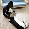 TOMOO Pet and Owner's Parent-Child Matching Hoodie,Black and White Couple Outfit Attire Pet Sweat Shirts Small Medium Large Dog's Clothes (Black XXL) - Image 4