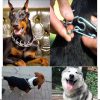 Love Dream Dog Prong Training Collar Quick Release Buckle, Dog Choke Pinch Collar with Comfort Tips for Small Medium Large Dogs (X-Large(4.0mm,23.6 Inch), Metal Buckle) - Image 2