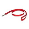 PetSafe Nylon Dog Leash - Strong, Durable, Traditional Style Leash with Easy to Use Bolt Snap - 3/4 in. x 4 ft., Red